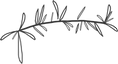 Global Initiative for Rights and Development (GIRD) young people's rights